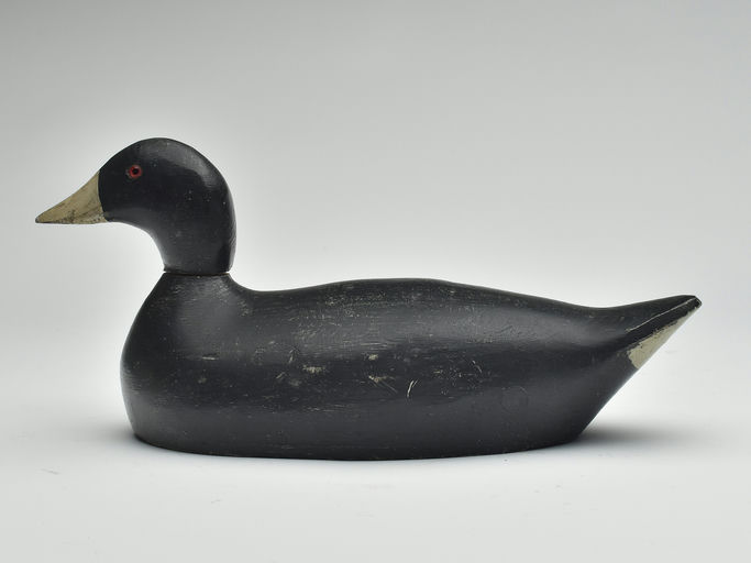 Evans Decoy Company – Coot – 2023