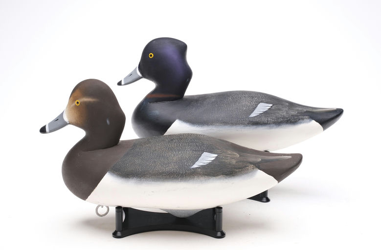 Charlie Joiner – Pair of Ringneck – 2026