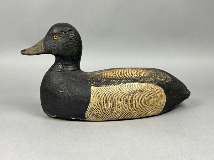 Dave "Umbrella" Watson – Scaup – 2026