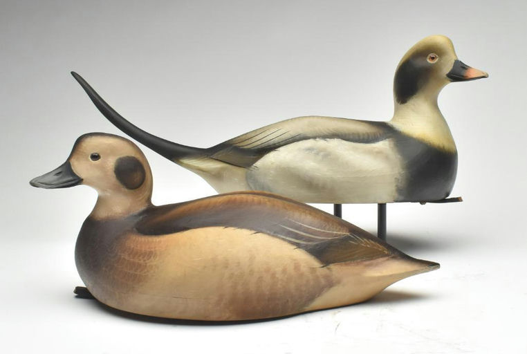 Sean Sutton – Pair of Long Tail Duck – 2023