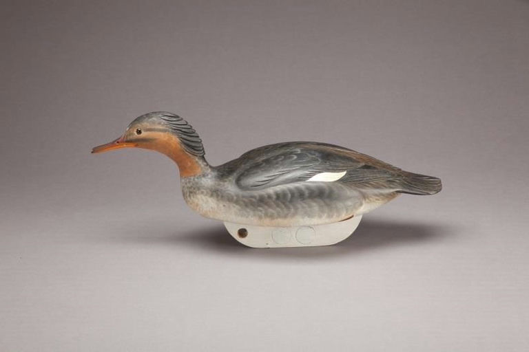 Clarence Miller – Red-breasted Merganser Hen – 2011