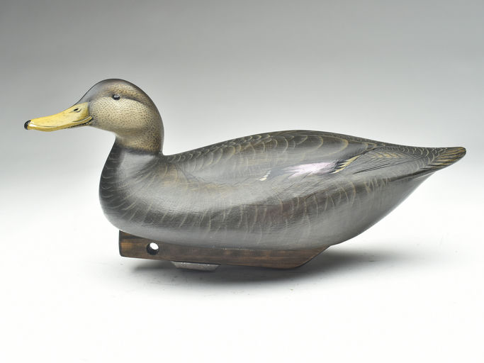 Jim Schmiedlin – Black Duck – 2023