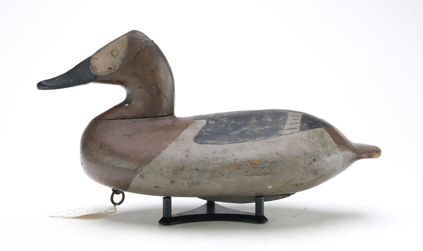 William Heverin – Canvasback Hen – 2025