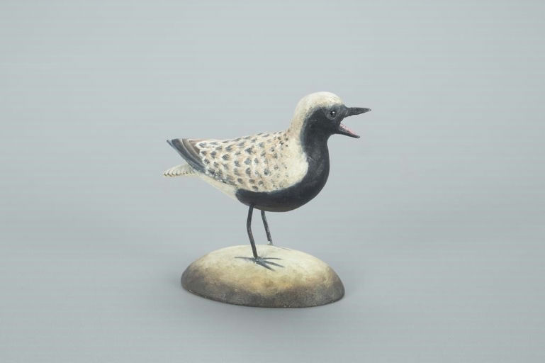 Frank Finney – Miniature Black-Bellied Plover – 2022