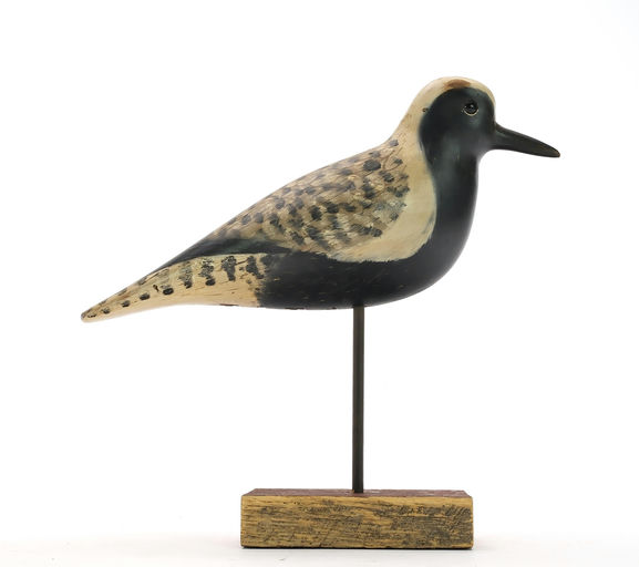 Pete Peterson – Black Bellied Plover – 2024