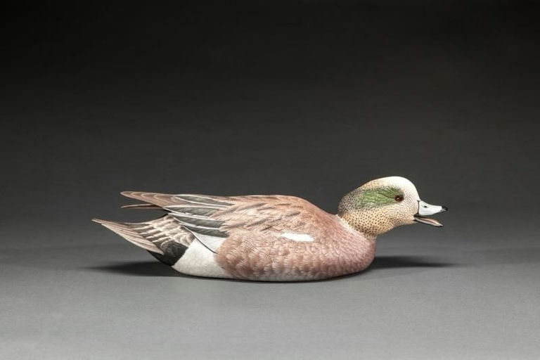 Randy Tull – Swimming Wigeon – 2015