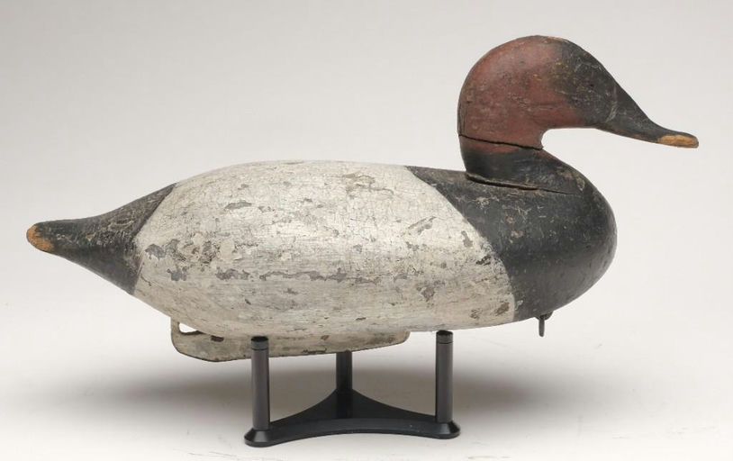 John Daddy Holly – Canvasback – 2023