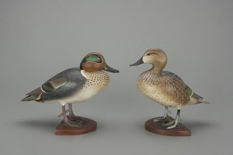 Ward Brothers – Outstanding Green-Winged Teal Pair – 2018