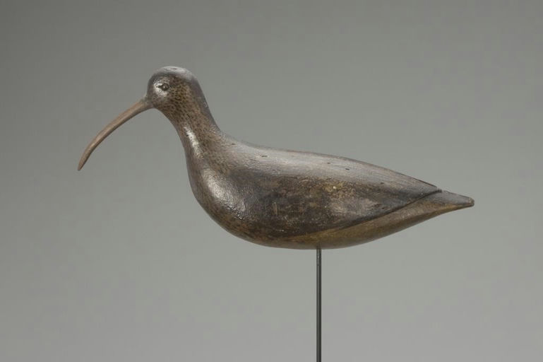 Thomas Gelston – Curlew – 2018