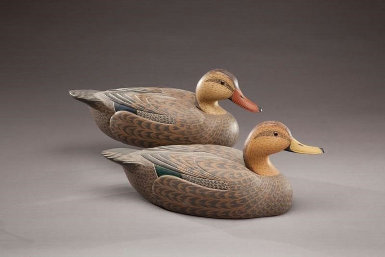 Brodie M. Henson – Black Duck Pair – 2011