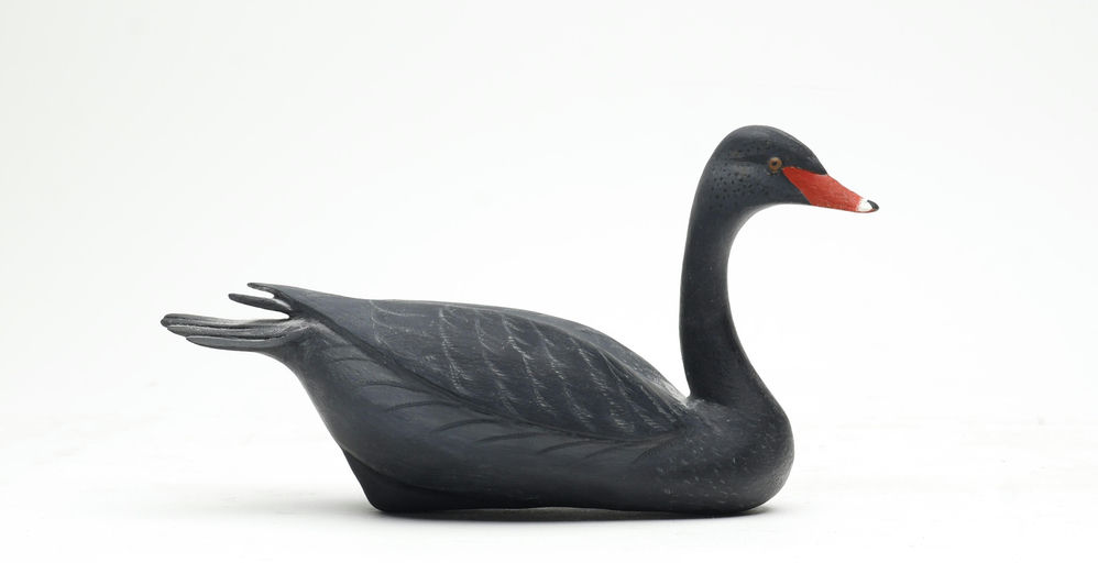 Bob White – Miniature Swan – 2026