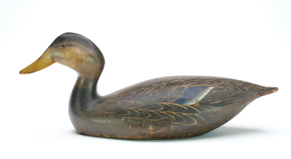 Ward Brothers – Early Black Duck – 2026
