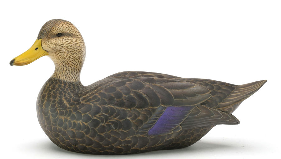 Ben A. Heinemann – Black Duck – 2024