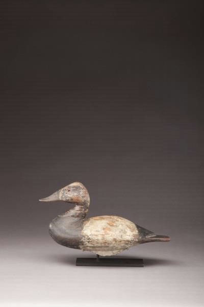 Lee Dudley – Outstanding Canvasback Drake – 2011