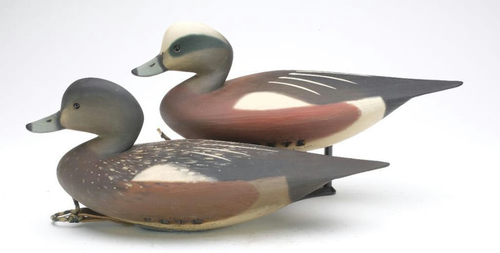 Pete Peterson – Pair of Wigeon – 2023