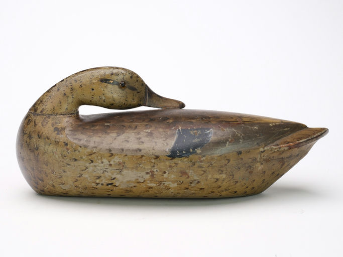 Charles Perdew – Sleeping Mallard Hen – 2024