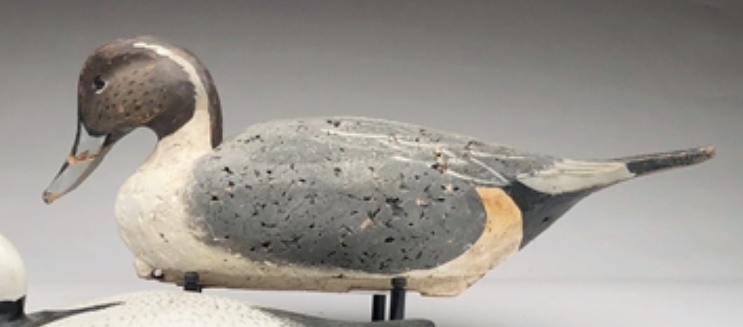 Grayson Chesser – Cork Pintail – 2019
