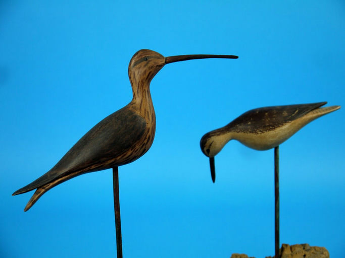 William Bill Johnson – Miniature Curlew And Yellowlegs – 2026