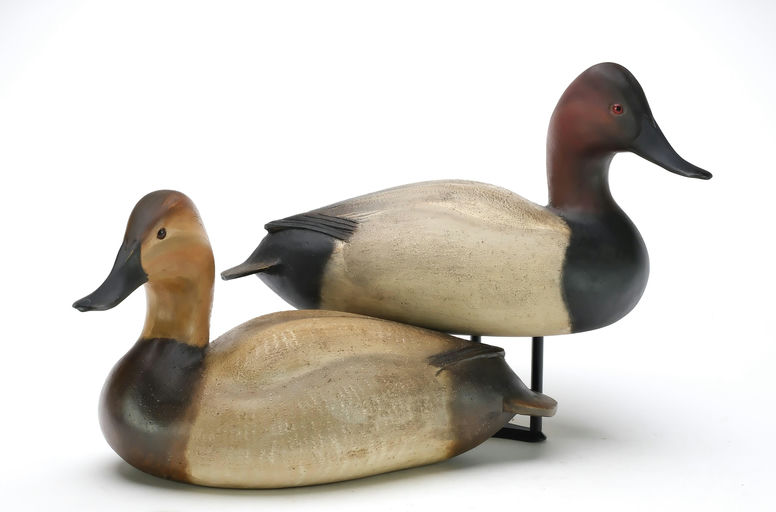 Ben A. Heinemann – Canvasback – 2025