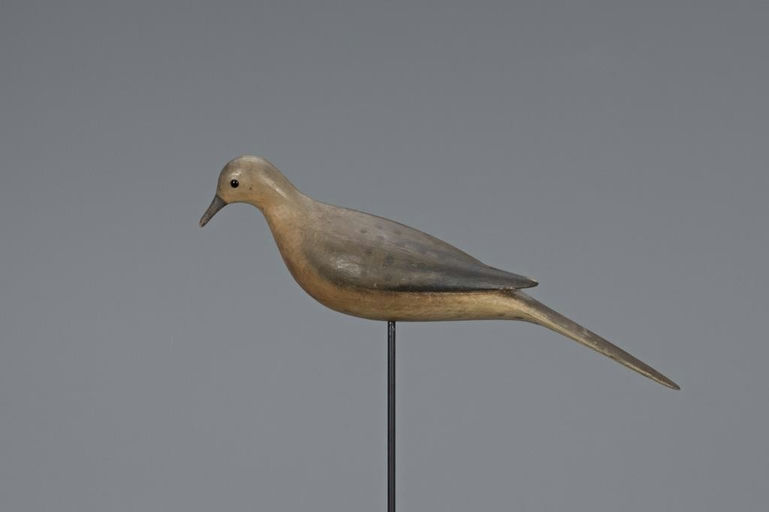 Mark McNair – Dove – 2019