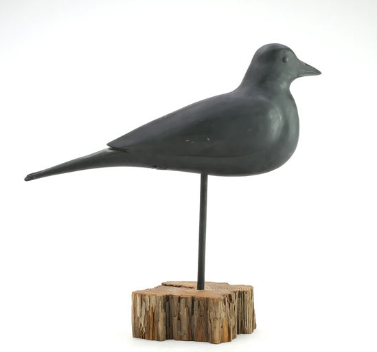 Bob White – Crow – 2025