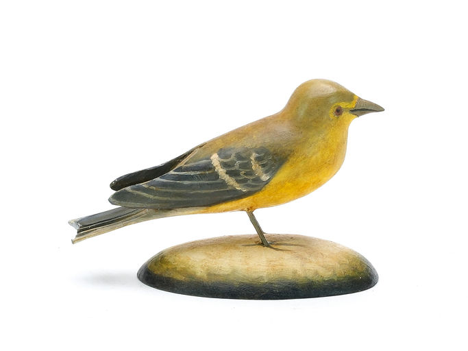 Frank Finney – Yellow Throated Vireo – 2025