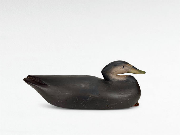 Pete Peterson – Black Duck – 2024