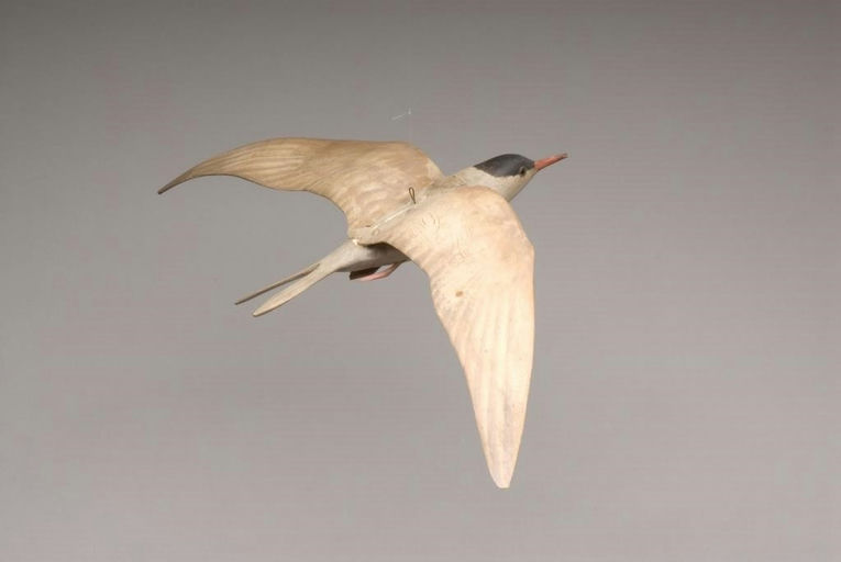Elmer Crowell – Flying Common Tern – 2010