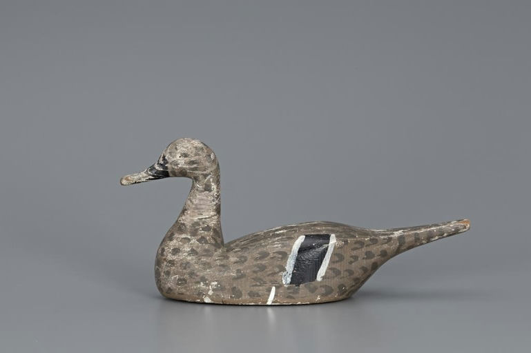Seth G. Tiny Barry – High-head Pintail Hen – 2019