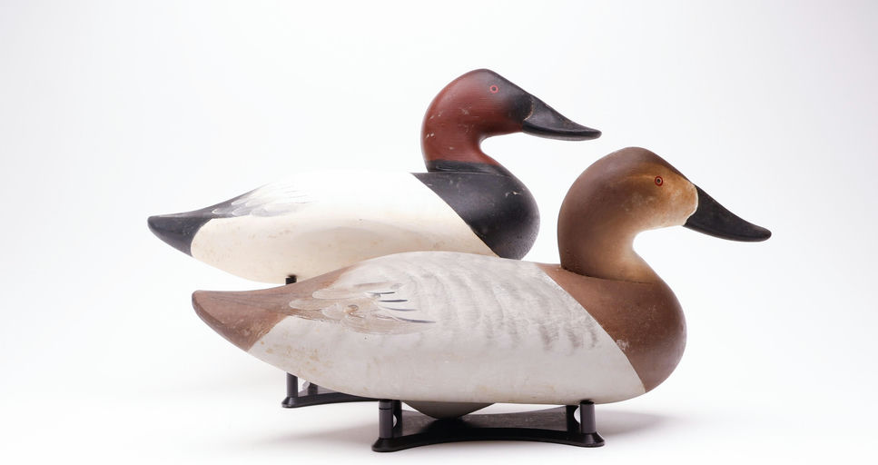 Charlie Joiner – Pair of Canvasback – 2026