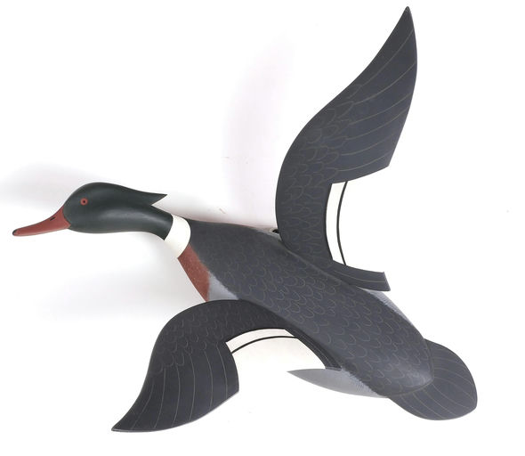 Jamie Hand – Red-breasted Merganser – 2024