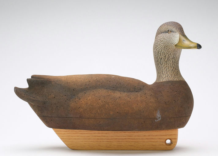 Tom Matus – Black Duck – 2024