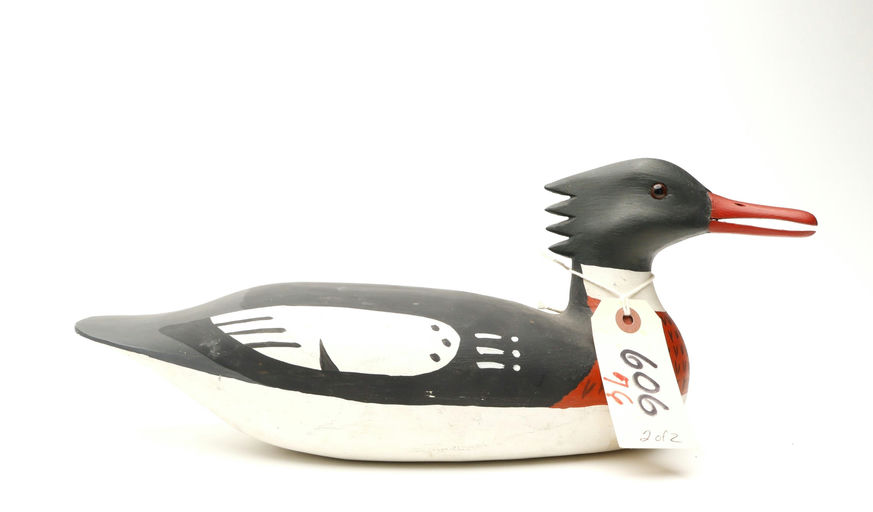 Harry V. Shourds – Red-breasted Merganser – 2026
