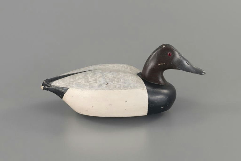 Shang Wheeler – Rare Canvasback – 2025