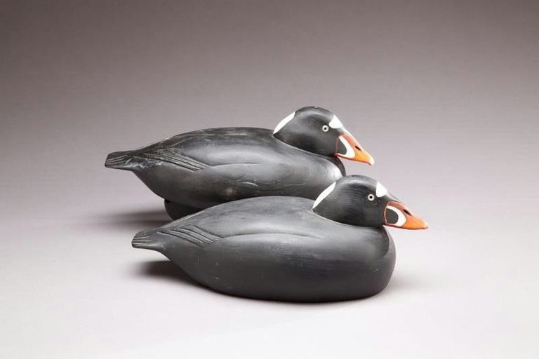 Paul Femia – Two Surf Scoters – 2013