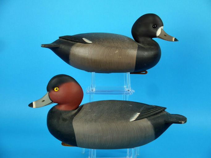 Rick Brown – Redhead Pair, – 2026