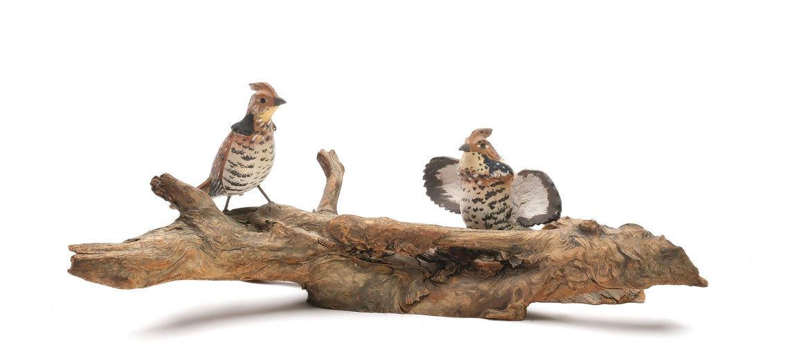 Russ Burr – Ruffed grouse – 2026