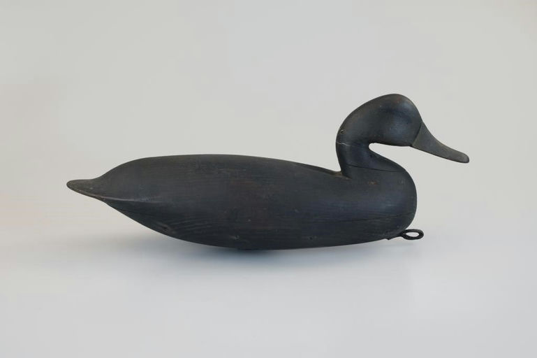Charles Birch – Black Duck – 2026
