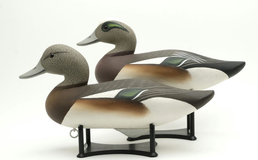 Charlie Joiner – Pair of Wigeon – 2025