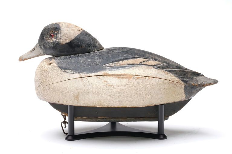 Ben Schmidt – Bufflehead – 2026