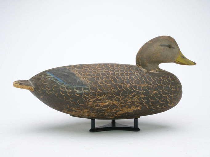 Ira Hudson – Black Duck – 2024