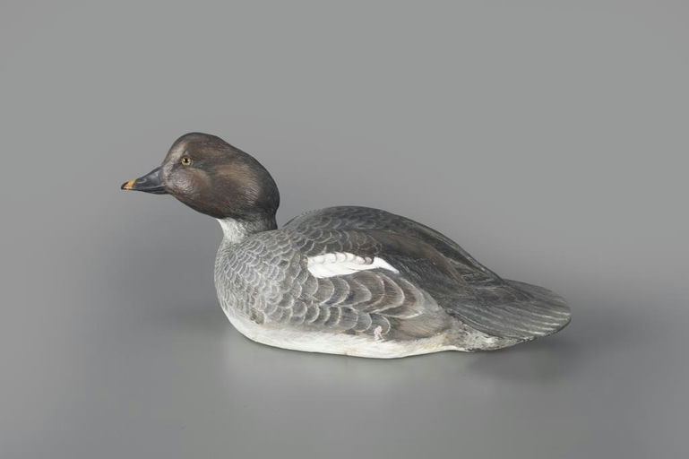 John Scheeler – Goldeneye Hen – 2024