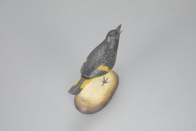 Frank Finney – Life-Size American Redstart – 2023