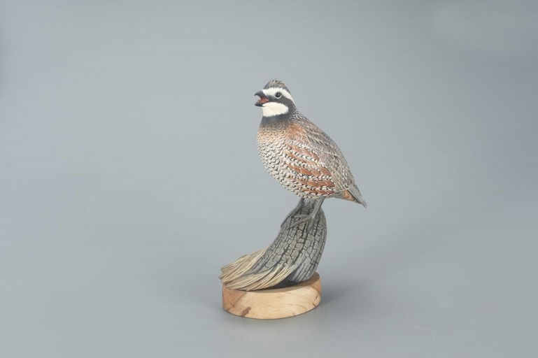 Keith Mueller – Calling Bobwhite Quail – 2022