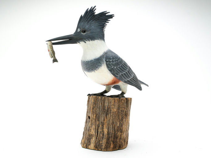 Frank Finney – Full-size Kingfisher With Fish In Bill – 2025