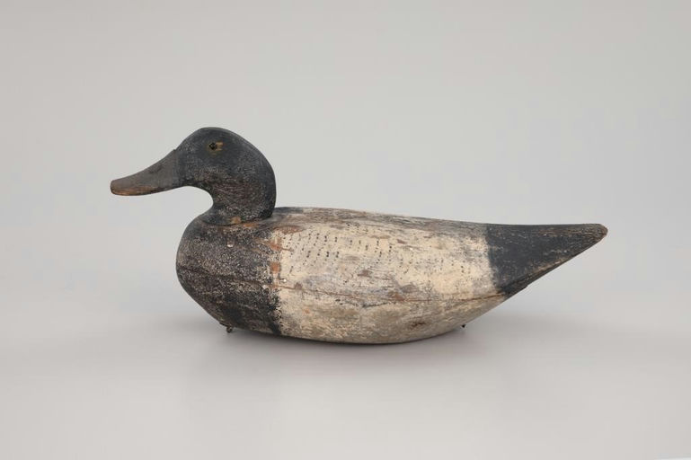 Horn Rig – Hollow Bluebill – 2026