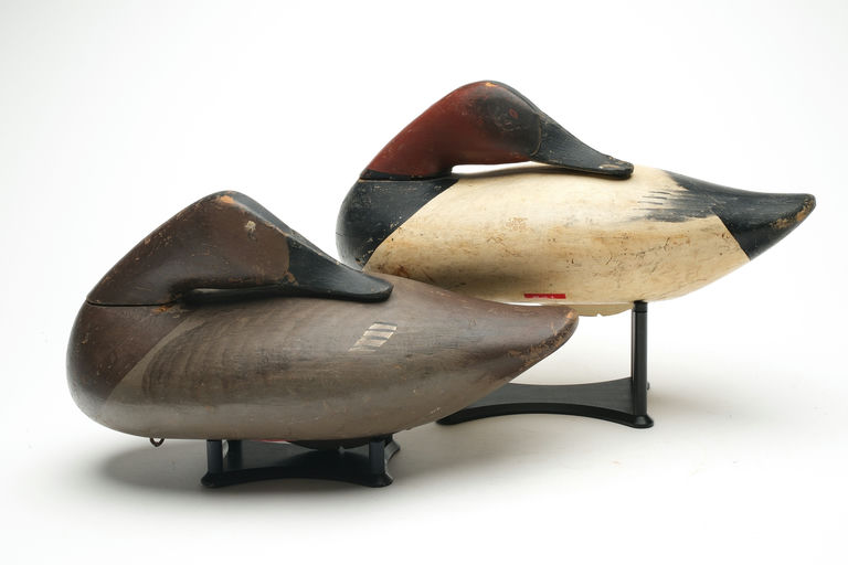 R. Madison Mitchell — Pair of Canvasback