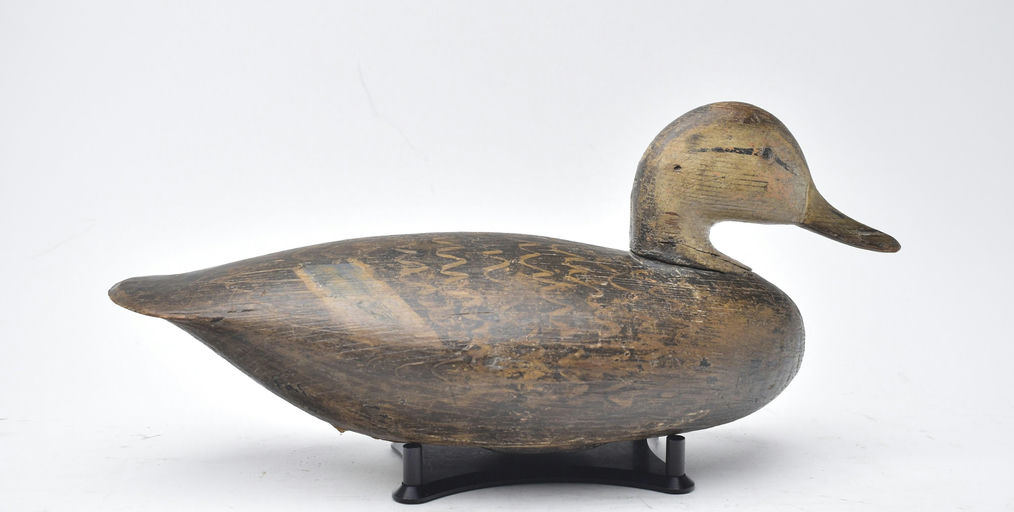 Ira Hudson – Black Duck – 2025