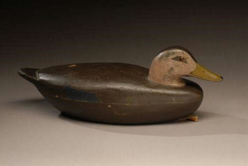 Reginald I. Culver – Early Black Duck – 2007