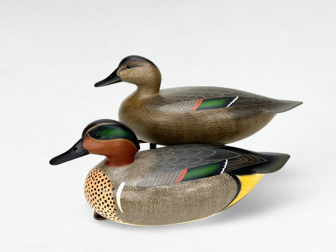 Rick Brown – Green-winged Teal Pair – 2024